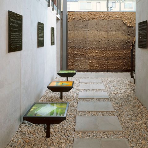 Museum Vitrinen